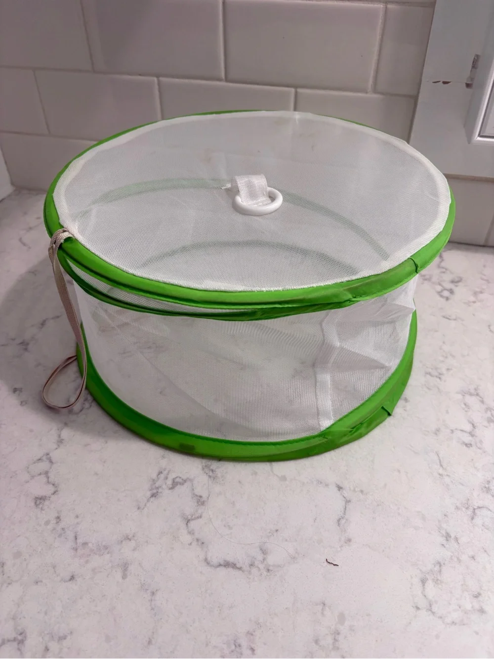 Pop-Up Mesh Food Covers (Green, Red, Blue) - Brand Unspecified